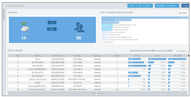 Figure 2 - Client Report