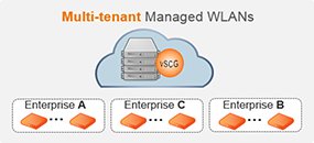 This product, known as the vSCG, can support multi-tenant environments where many managed services customers share an instance of the vSCG, or in a dedicated mode