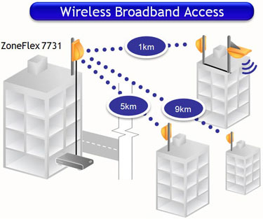 Wireless Broadband Access